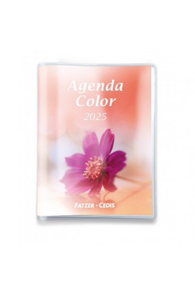 Agenda Color 2025