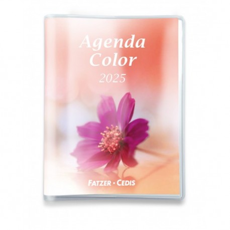 Agenda Color 2025