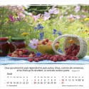 Calendrier "Vivre" 2025