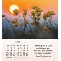 Calendrier "Au coeur du jour"  2024