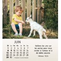 Calendrier "Mes petits amis"  2024