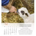 Calendrier "Psaume 23" 2025