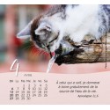 Calendrier "Nos amis les chats" 2024