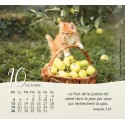 Calendrier "Nos amis les chats" 2024