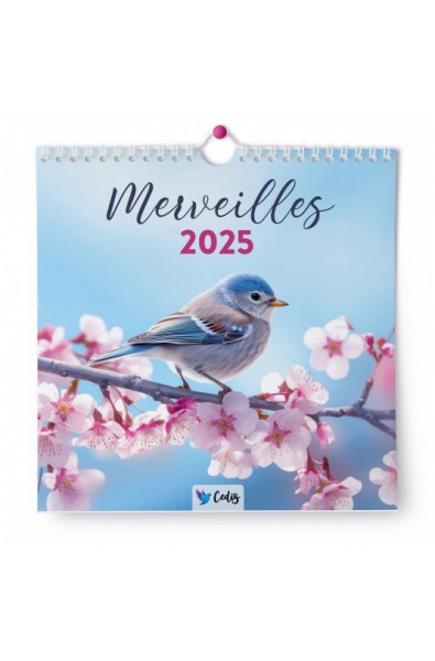 Calendrier "Merveilles" 2025