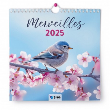 Calendrier "Merveilles" 2025