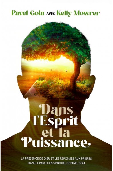 Dans l'esprit et la puissance