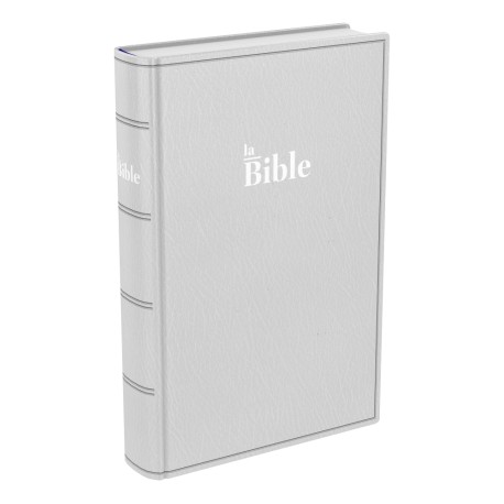 Bible Darby format compact souple, gris