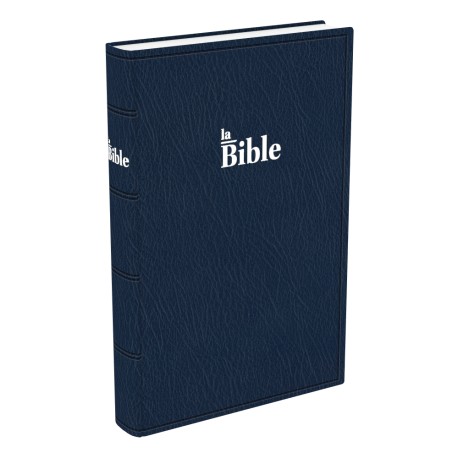 Bible Darby grand format, souple bleu