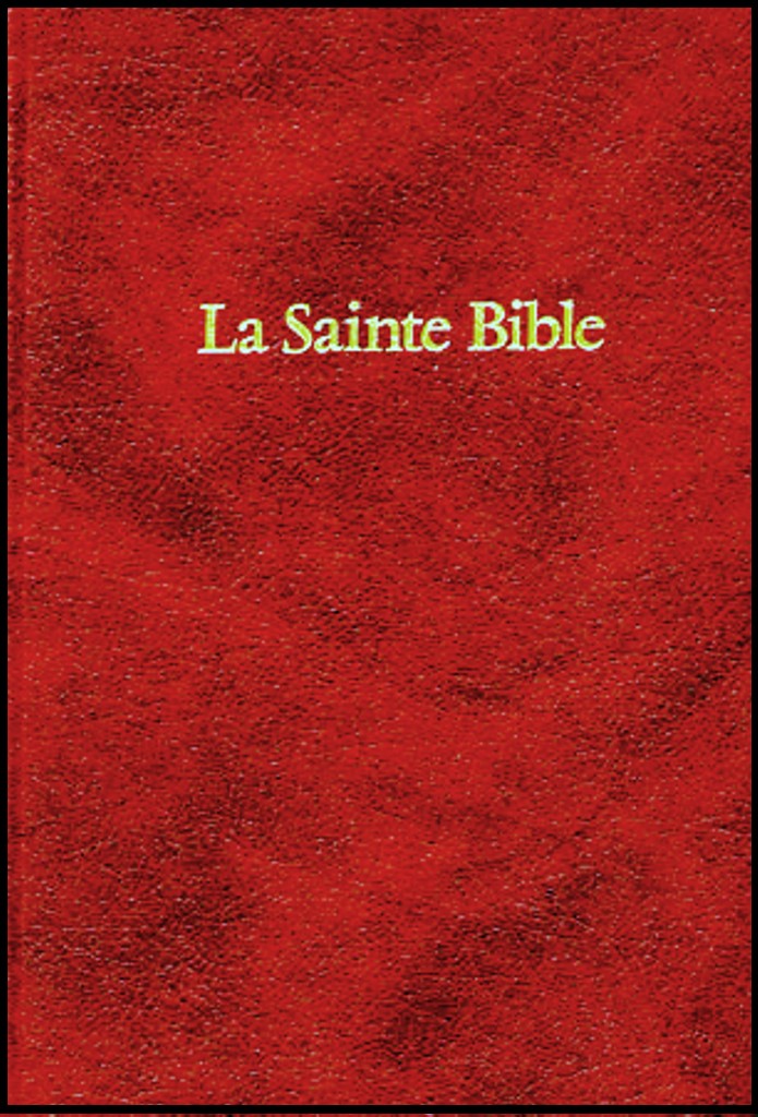 Bible Darby skinluxe tr. or grenat Librairie Vie et Sant